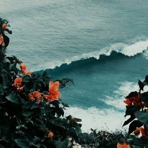 Meet your Posher, Kaylee